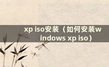 xp iso安装（如何安装windows xp iso）